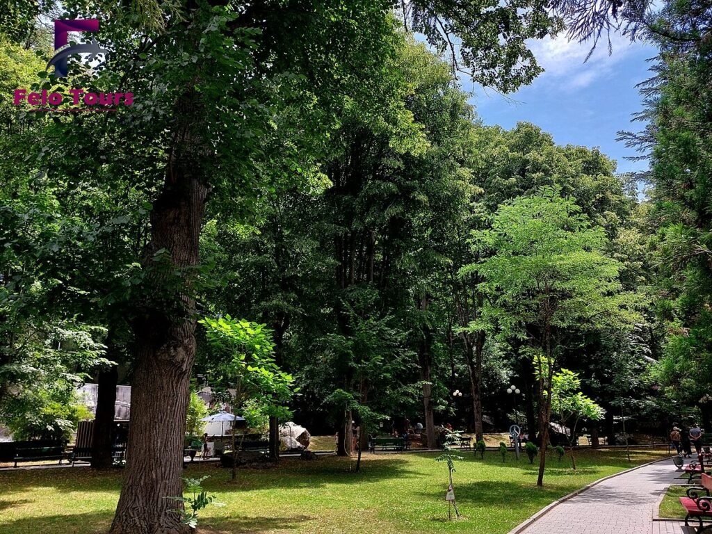 أفضل شركة سياحة في بورجومي: دليلك للحجز والبرامج اليومية والرحلات إلى بورجومي ومارتفيلي
